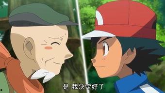 国产经典动画获奖视频,获奖视频背后的故事与感动