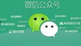 爱剪辑国产在线看视频