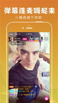 国产私肉视频下载,暗流涌动的网络黑市