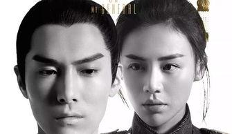 国产剧将军简介视频大全,英勇传奇，铁血风采大盘点