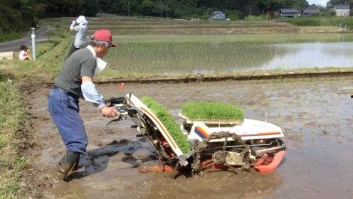 国产独轮插秧机视频,高效便捷的农业革新利器