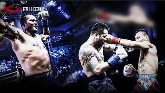 国产拳击老炮视频,国产拳击老炮的荣耀与挑战